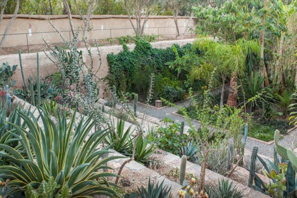 oasis-DAR_AL_HOSSOUN_photo_Mayer-Le_Scanff-maurieres-ossart oasis-DAR_AL_HOSSOUN_photo_Mayer-Le_Scanff-maurieres-ossart