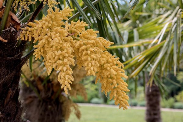 Jardin St Jean
Paysagistes: Ossart- Maurières
Graulhet 31 France