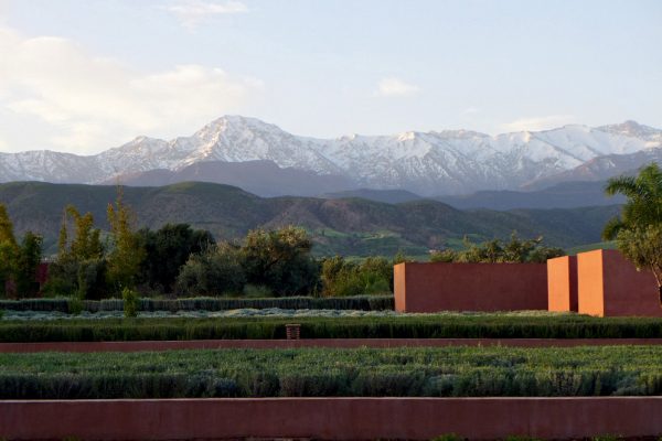 01_02-DAR_AZAREN_OM_OK_Page_01