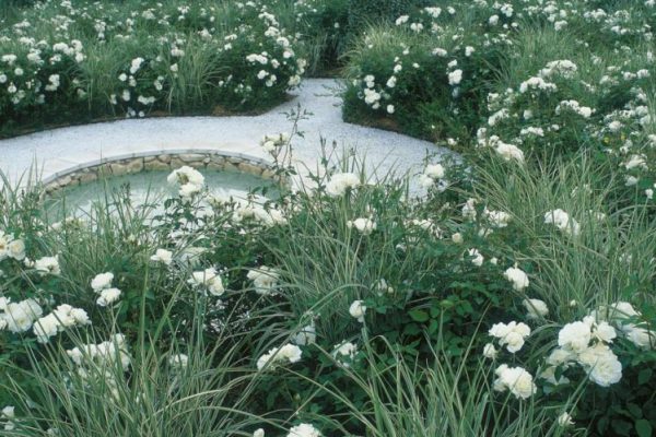 02B-4_6220P155-749x1024