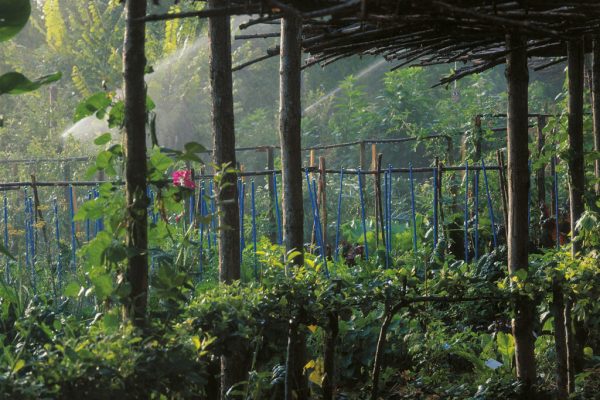 02C-11_6220P130-1024x746