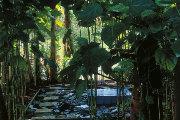 02C-13_6220P127-754x1024