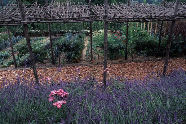 Architecture Pergola de chataignier
Jardin des Paradis