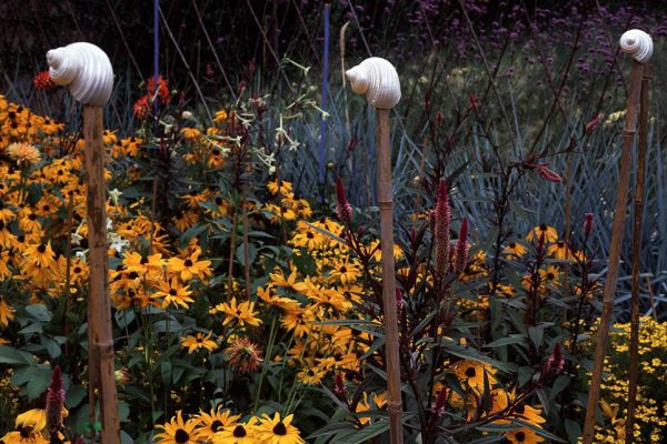 Été Rudbeckia ‘Marmelade’ Celosia spicata pourpre Dahlia Tagetes pumilla
Paysagistes: Ossart-Maurières
Jardin des Paradis 81 France