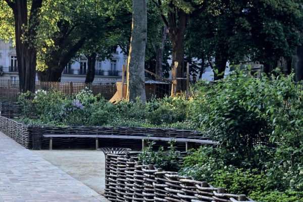 Symphytum Euphorbe 
Paysagistes: Arnaud Maurières & Eric Ossart.
Jardin du Musée National du Moyen Age 75 France