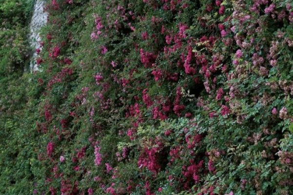 02E-2_img_6179-683x1024