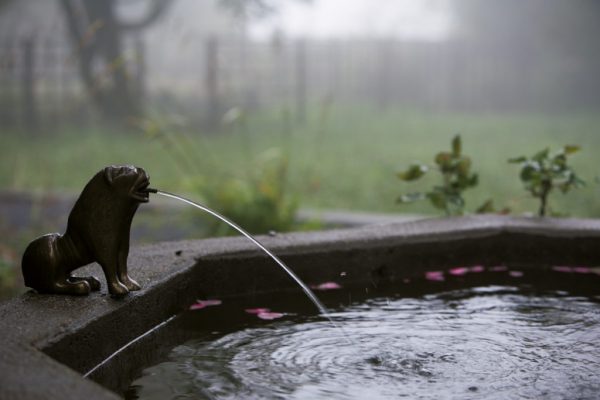 02H-10_img_0020-1024x683