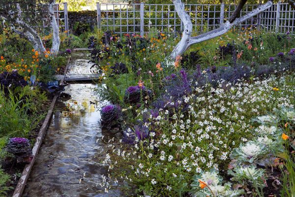 Le potager Chou décoratif Bidens 'Pirate's Pearl'
Paysagistes: Ossart-Maurières
Le verger de Déduit (15)