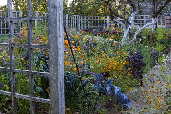 Le potager Echinacea ''Harvest Moon' Cosmos 'Diablo'
Verbena boniarensis Chou Cognassier
Paysagistes: Ossart-Maurières
Le verger de Déduit (15)