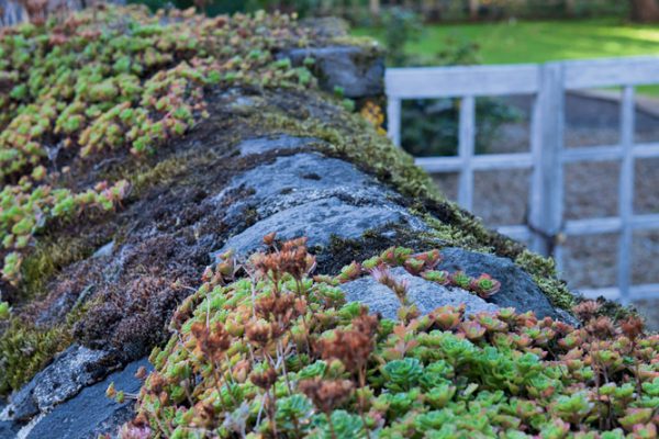 Château de la Trémolière (15)