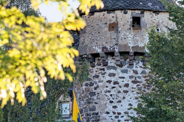 Château de la Trémolière (15)