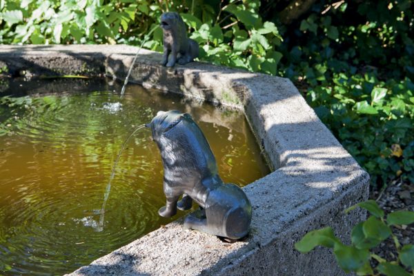 La fontaine
Paysagistes: Ossart-Maurières
Le verger de Déduit (15)