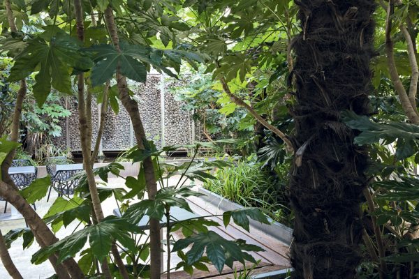 Holiday Inn Paris - Notre Dame
Paysagistes: Ossart-Maurières