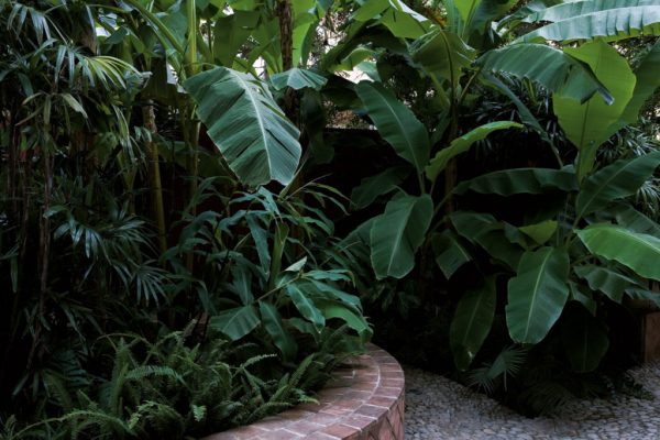 03B-3_img_0068-1024x683