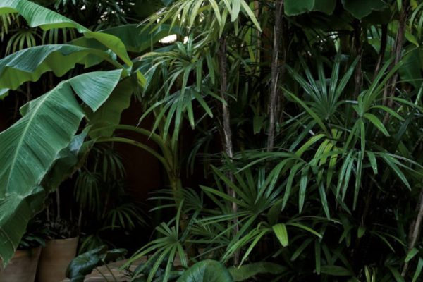 03B-4_img_0077A-683x1024