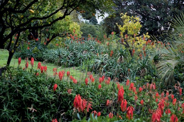Jardin du restaurant Mirazur
Paysagistes Ossart-Maurières
Menton France