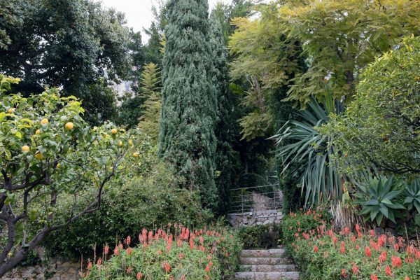 Jardin du restaurant Mirazur
Paysagistes Ossart-Maurières
Menton France