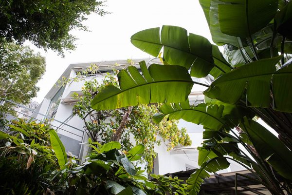 Jardin du restaurant Mirazur
Paysagistes Ossart-Maurières
Menton France