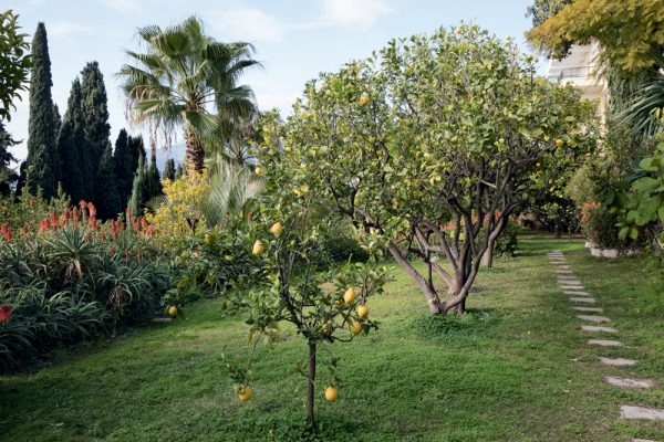 Jardin du restaurant Mirazur
Paysagistes Ossart-Maurières
Menton France