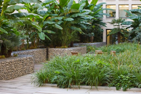 ROOF GARDEN, SAINT DOMINIQUE, PARIS: DESIGNERS ERIC OSSART AND ARNAUD MAURIERES: