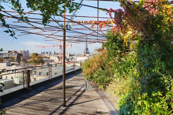 ROOF GARDEN, SAINT DOMINIQUE, PARIS: DESIGNERS ERIC OSSART AND ARNAUD MAURIERES: