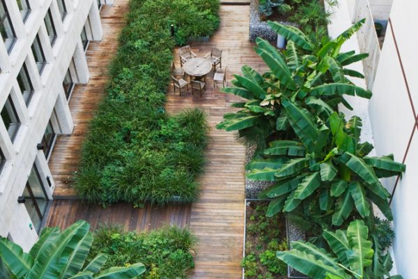 ROOF GARDEN, SAINT DOMINIQUE, PARIS: DESIGNERS ERIC OSSART AND ARNAUD MAURIERES: