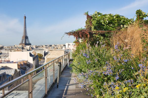 ROOF GARDEN, SAINT DOMINIQUE, PARIS: DESIGNERS ERIC OSSART AND ARNAUD MAURIERES: