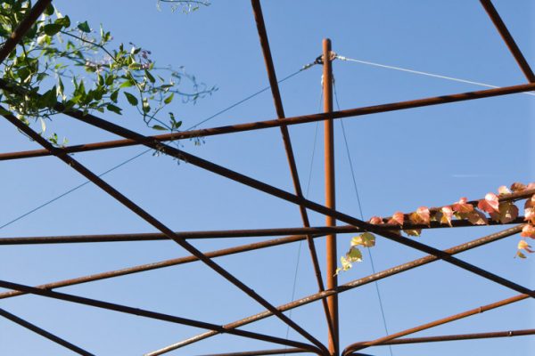 ROOF GARDEN, SAINT DOMINIQUE, PARIS: DESIGNERS ERIC OSSART AND ARNAUD MAURIERES: