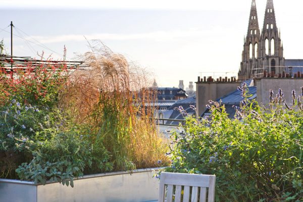 ROOF GARDEN, SAINT DOMINIQUE, PARIS: DESIGNERS ERIC OSSART AND ARNAUD MAURIERES: