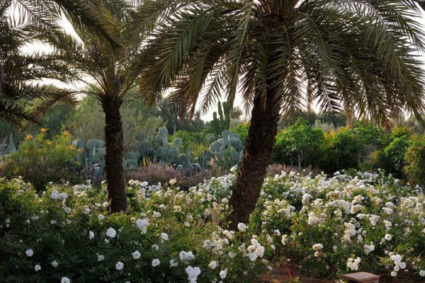 06B-DAR_IGDAD_NS_OK_Page_11