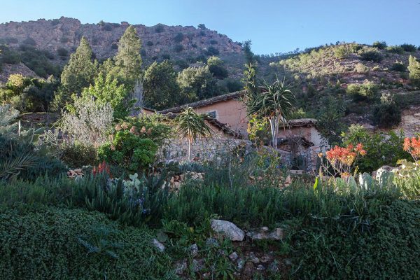 Architectes paysagistes Ossart-Maurières
Afra Maroc