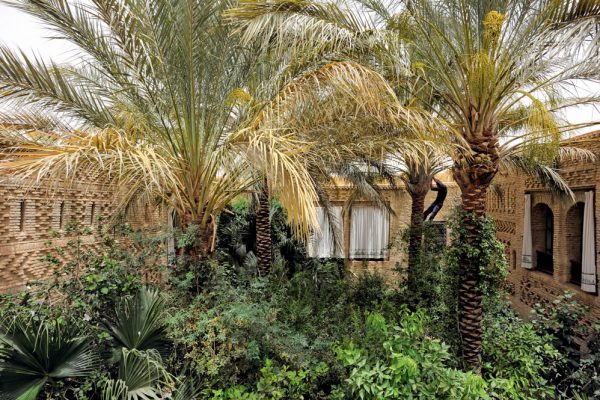 06D-TOZEUR_007_nicolasschimp