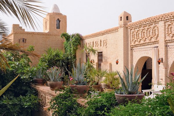 06D-TOZEUR_040_nicolasschimp