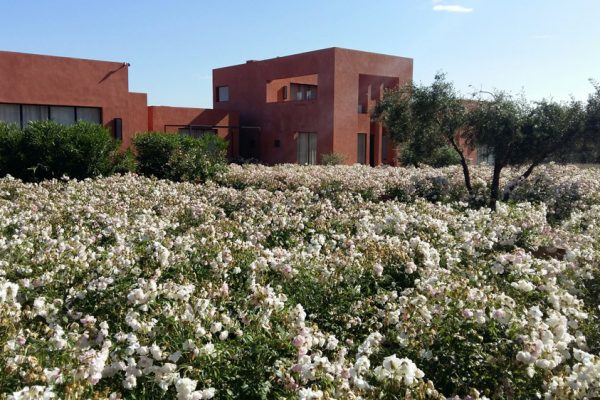 06E-DAR_AZAREN_OM_OK_Page_02