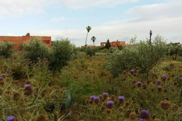 06E-DAR_AZAREN_OM_OK_Page_03