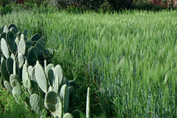 06E-DAR_AZAREN_OM_OK_Page_04