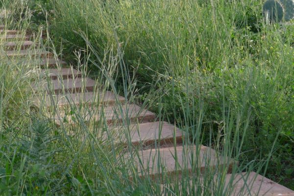 06E-DAR_AZAREN_OM_OK_Page_05-1