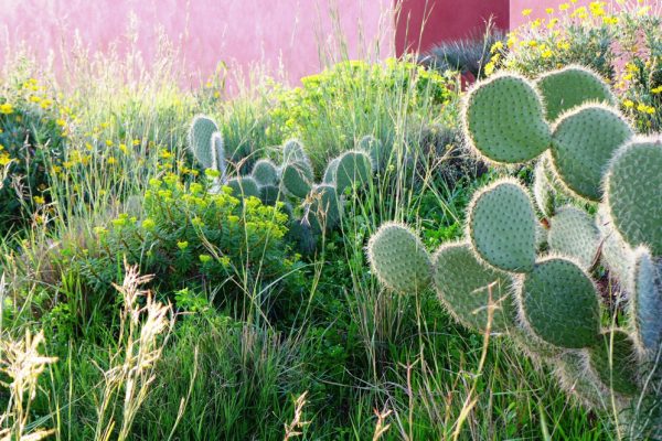 06E-DAR_AZAREN_OM_OK_Page_07