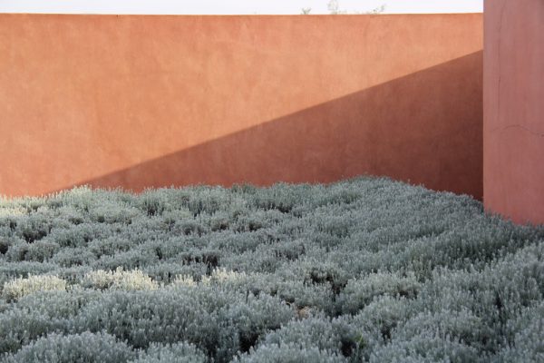 06E-DAR_AZAREN_OM_OK_Page_08