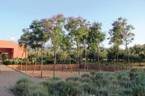 06E-DAR_AZAREN_OM_OK_Page_10