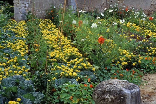 Chaumont 1994 La cour de la ferme 
Paysagiste: Eric Ossart.
Festival des jardins de Chaumont-sur-Loire 41 France