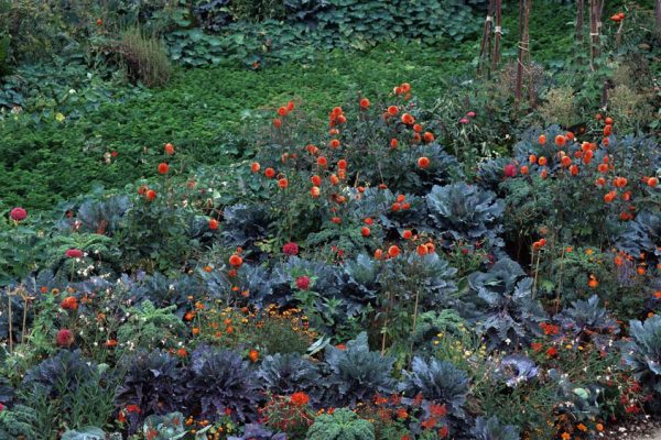 Chaumont 1995 La cour de la Ferme 
Paysagiste Eric Ossart.
Festival des Jardins de Chaumont sur Loire 41 France