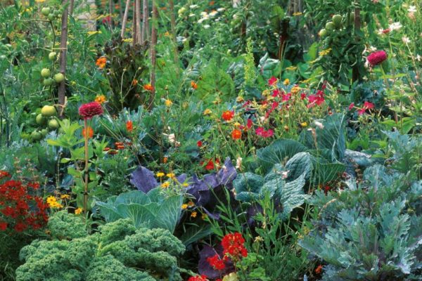 07A-9_6220P019-1-832x1024