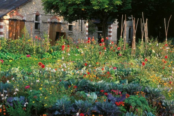 07A_1_6220P020-1024x841