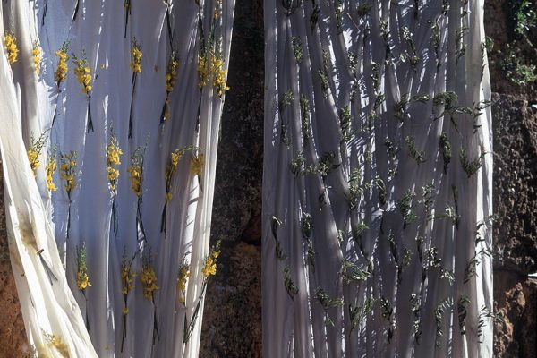 Landart Mouchabbak syrie
Création: Ossart-Maurières