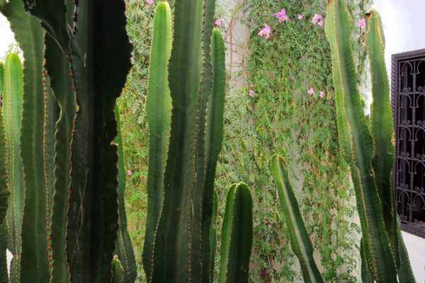 08F-SIDI_OU_SIDI_24_Nicolas_Schimp