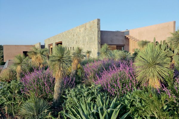 09A-CASA_jardin_du_nord_3