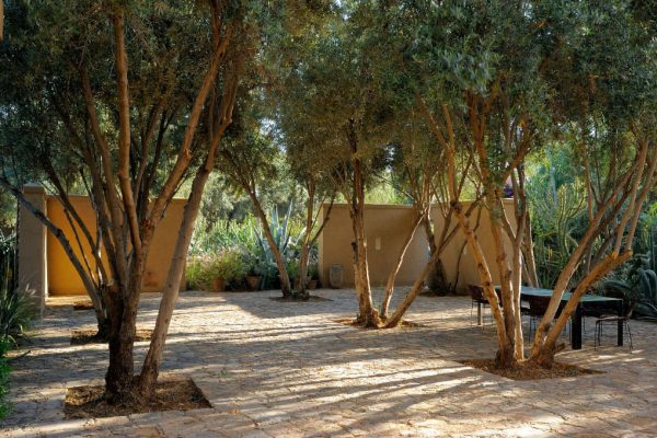 DAR_IGDAD_NS_OK_Page_06