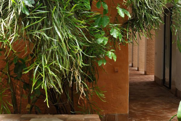 DAR_IGDAD_NS_OK_Page_10