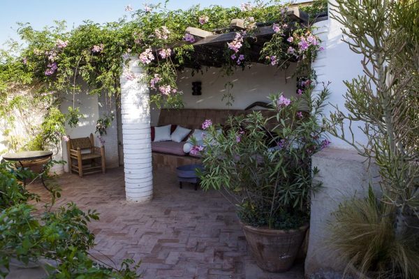 Nerium oleander Podranea ricasoliana
Architectes paysagistes Ossart & Maurières
Dar Louisa Taroudant Maroc
